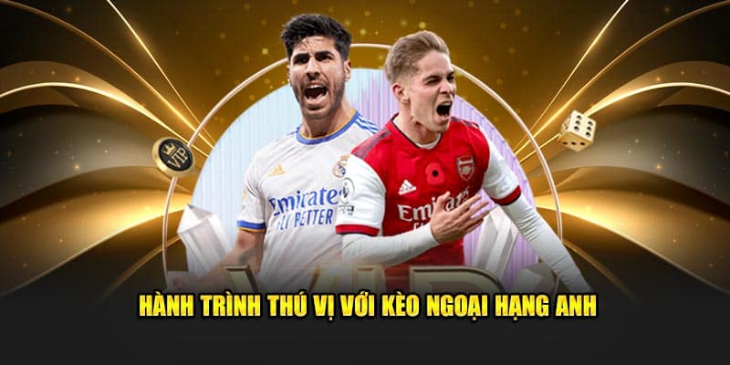 Điểm hấp dẫn của chuyên mục soi kèo tại Nohu