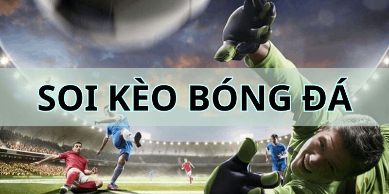 Hiểu đúng về soi kèo tại nhà cái Nohu