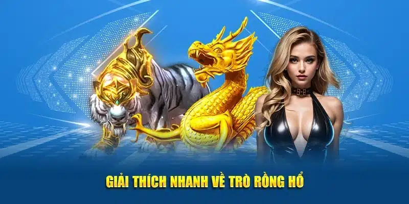 Sơ lược về tựa game rồng hổ tại Nohu
